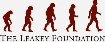 Leakey Foundation Research Grants 2024